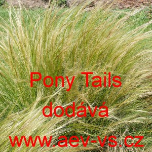 Kavyl nejtenč&iacute; Pony Tails