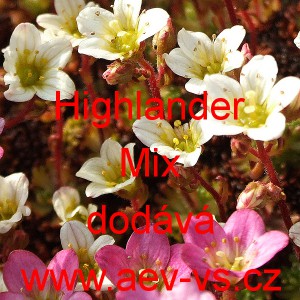 Lomik&aacute;men Arendsův Highlander Mix