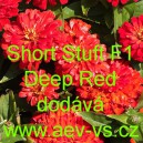 Ost&aacute;lka sličn&aacute;, lep&aacute; Short Stuft F1 Deep Red
