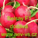 Ředkvička hybridn&iacute; letn&iacute; Belsay F1