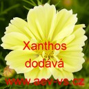 Kr&aacute;senka zpeřen&aacute; Xanthos 