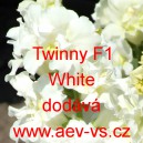 Hled&iacute;k vět&scaron;&iacute; Twinny F1 White