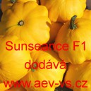 Patizon (tykev obecn&aacute;) hybridn&iacute; Sunseance F1