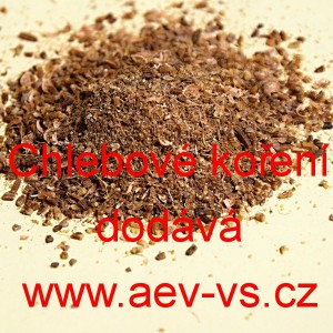 Chlebov&eacute; kořen&iacute; (v&iacute;deňsk&yacute; typ)