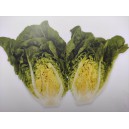 Sal&aacute;t ř&iacute;msk&yacute; mini Rios