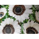 Nerenka n&aacute;dhern&aacute; Zulu Prince