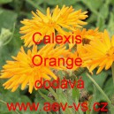 Měs&iacute;ček l&eacute;kařsk&yacute; Calexis Orange