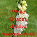 N&aacute;prstn&iacute;k červen&yacute; White Shades
