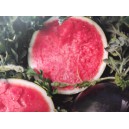 Meloun vodn&iacute; hybridn&iacute; Conguita Baby F1