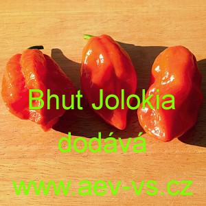 Paprika p&aacute;liv&aacute; čil&iacute; Bhut  Jolokia