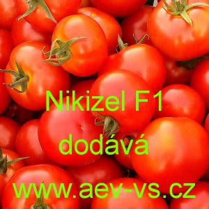 Rajče tyčkov&eacute; hybridn&iacute; Nikizel F1