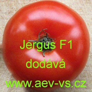 Rajče tyčkov&eacute; hybridn&iacute; Jergus F1