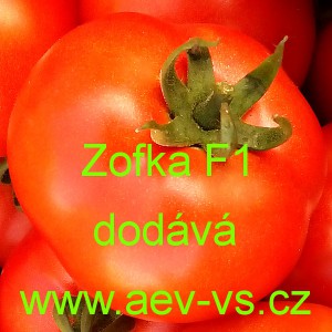 Rajče tyčkov&eacute; hybridn&iacute; Zofka F1
