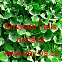 Dichondra plaziv&aacute; zelen&yacute; vodop&aacute;d Emerald Fals