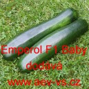 Tykev obecn&aacute; cuketa hybridn&iacute; Emperol F1 Baby