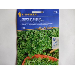 Koriandr set&yacute; Koriander