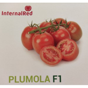 Rajče tyčkov&eacute; hybridn&iacute; Plumola F1 - Novinka 2025