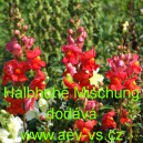 Hled&iacute;k vět&scaron;&iacute; Halbhohe Mischung