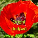 M&aacute;k v&yacute;chodn&iacute; Orient