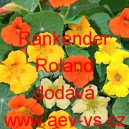 Lichořeři&scaron;nice vět&scaron;&iacute;, kapuc&iacute;nka Rankender Roland 