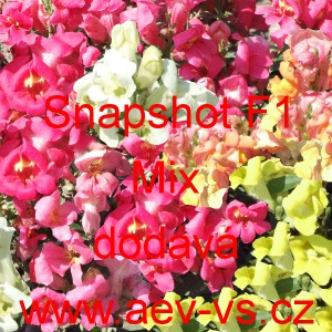 Hled&iacute;k vět&scaron;&iacute; Snapshot F1 Mix