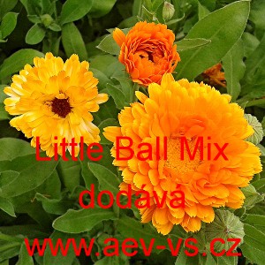Měs&iacute;ček l&eacute;kařsk&yacute; Little Ball Mix