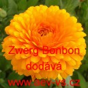 Měs&iacute;ček l&eacute;kařsk&yacute; Zwerg Bonbon