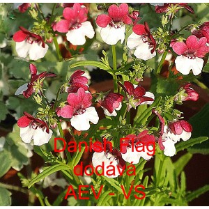 Hled&iacute;kovka zduřel&aacute; Danish Flag