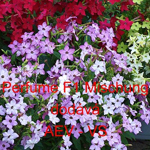 Tab&aacute;k Sandeřin, Sanderův Perfume F1 Mischung