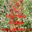 &Scaron;alvěj &scaron;arlatov&aacute; Mischung