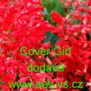 &Scaron;alvěj z&aacute;řiv&aacute; Cover Girl
