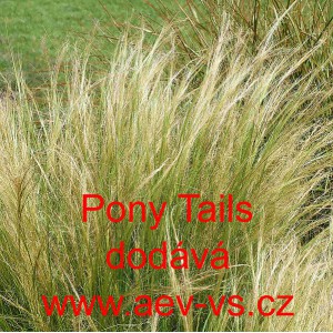 Kavyl vl&aacute;skovit&yacute; p&eacute;řovit&yacute; koňsk&yacute; ohon Pony Tails