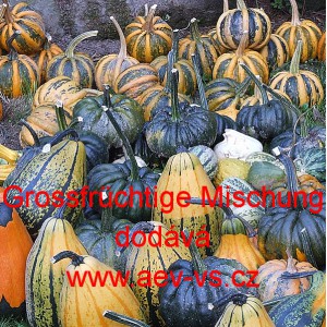 Okrasn&aacute; tykev Gro&szlig;fr&uuml;chtige Mischung