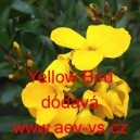 Tr&yacute;zel zvrhl&yacute; Yellow Bird