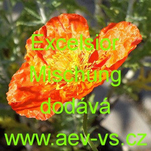 M&aacute;k nahoprut&yacute;, hol&yacute;, lys&yacute;, islandsk&yacute; Excelsior Mischung