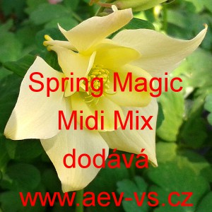 Orl&iacute;ček modr&yacute; Spring Magic Midi Mix