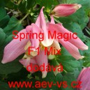 Orl&iacute;ček modr&yacute; Spring Magic F1 Mix
