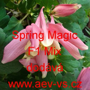 Orl&iacute;ček modr&yacute; Spring Magic F1 Mix
