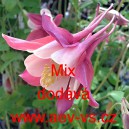 Orl&iacute;ček zkř&iacute;žen&yacute; Mix