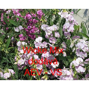 Hrachor &scaron;irokolist&yacute; Wicke Mix