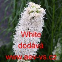 &Scaron;u&scaron;karda klasnat&aacute; White