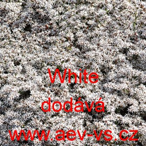 Limonka tatarsk&aacute; White