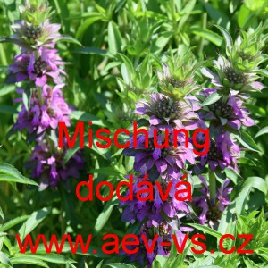 Zavinutka citronov&aacute; Mischung