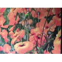 Stylomekon různolist&yacute; Orange