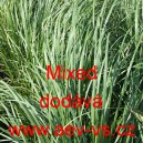 Pampas dvoudom&yacute; Mixed