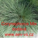 Paličkovec &scaron;edav&yacute; Mix