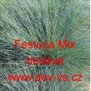 Kostřava siv&aacute; Mix