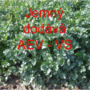 Celer naťov&yacute; Jemn&yacute;