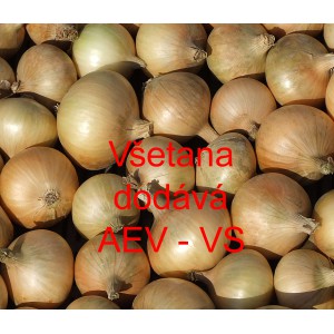 Cibule jarn&iacute; kuchyňsk&aacute; V&scaron;etana