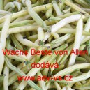 Fazol keř&iacute;čkov&yacute; Wachs Beste von Allen